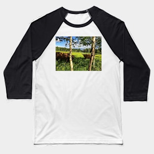 Scottish Highland Cattle Bulls 1771 Baseball T-Shirt